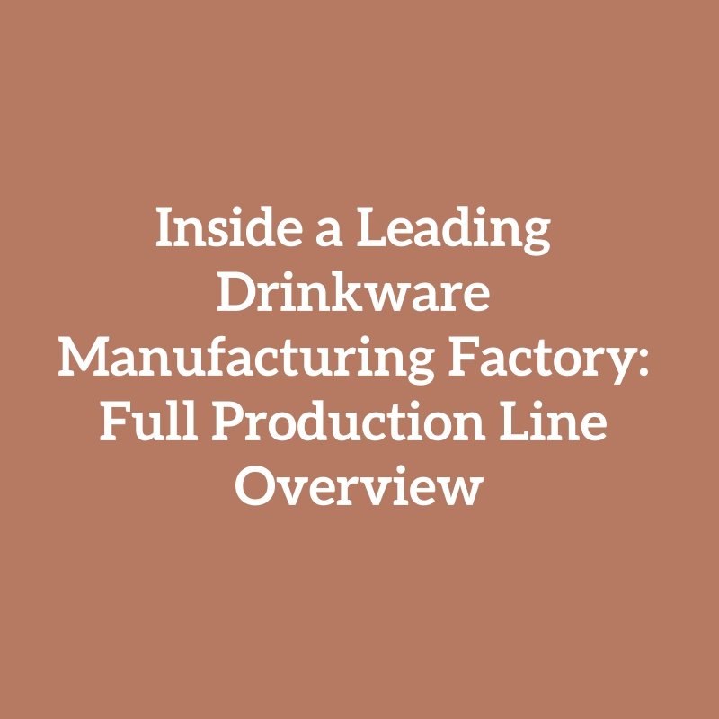 Inside a Leading Drinkware Manufacturing Factory: Full Production Line Overview